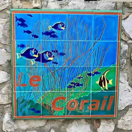 アパート 33m2 Avec Terrasse *